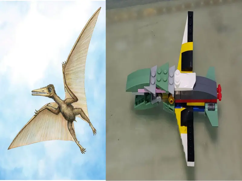 Lego Pterodactyl built by Dhairya