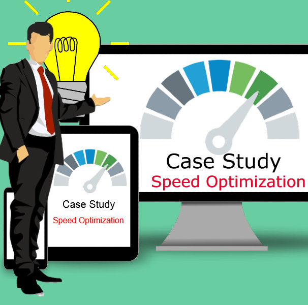 Performance optimization consultant