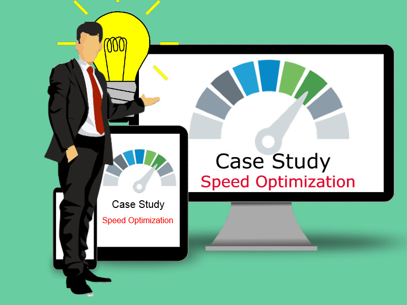 Performance optimization consultant
